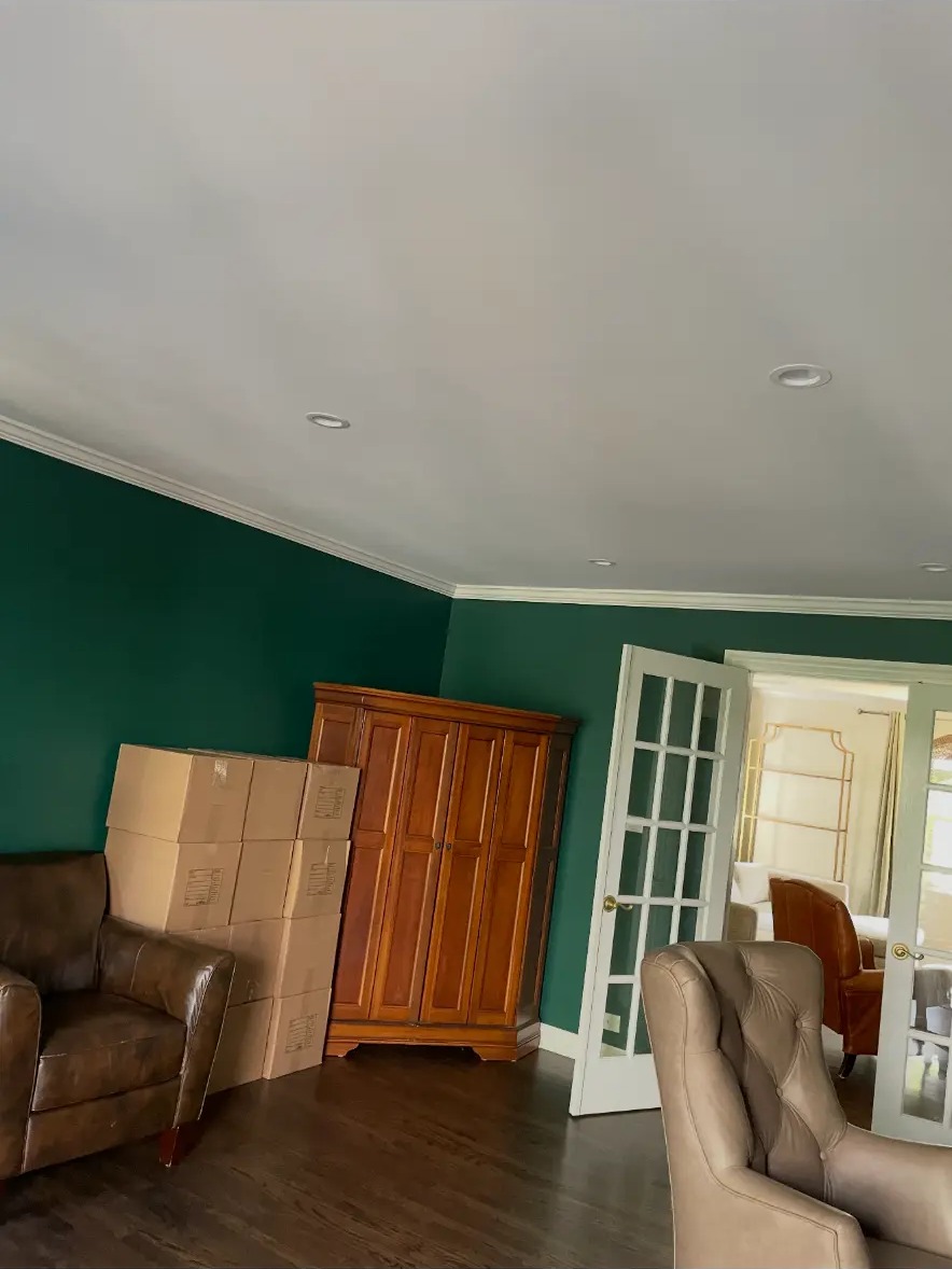 Library room showing completed green accent wall from another angle